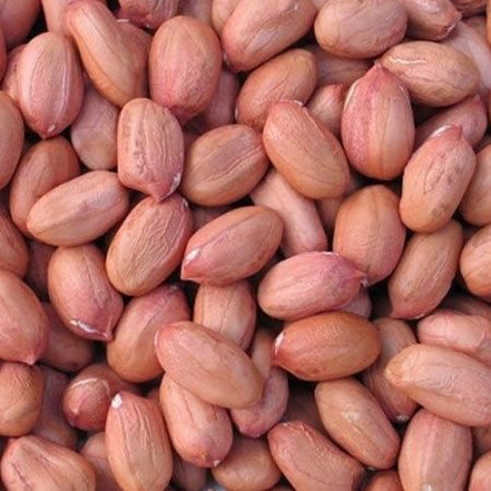Groundnuts