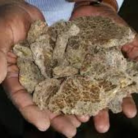 Impaz (Animal Feeds)