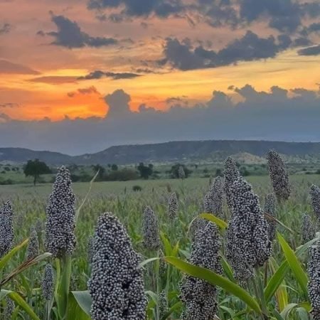 WhatsApp Image 2025-09-01 at 07.38.17_41e16baa